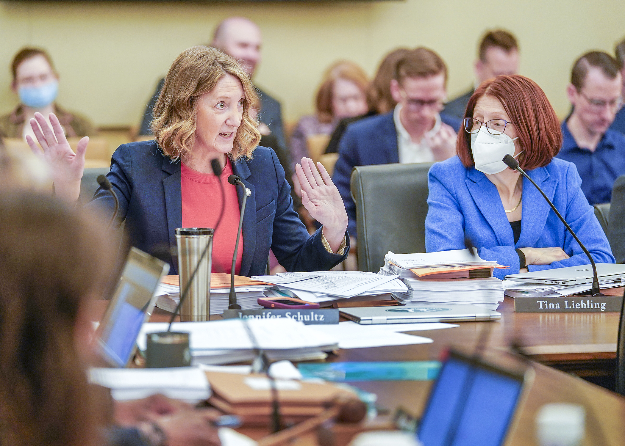 Rep. Jennifer Schultz and Rep. Tina Liebling provide the House Ways and Means Committee with overviews of the omnibus health, human services and early childhood package. (Photo by Andrew VonBank)